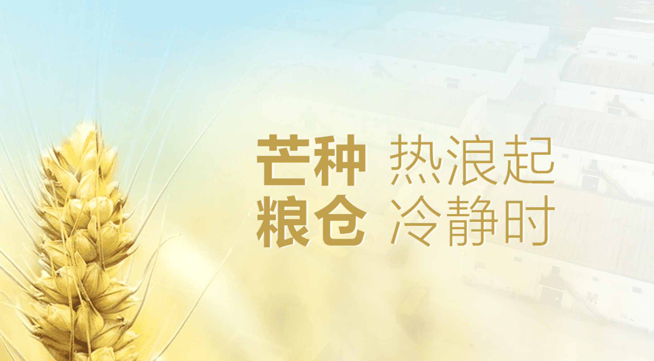 芒种热浪起，粮仓“冷静”时：净松粮仓空调守护粮仓安全
