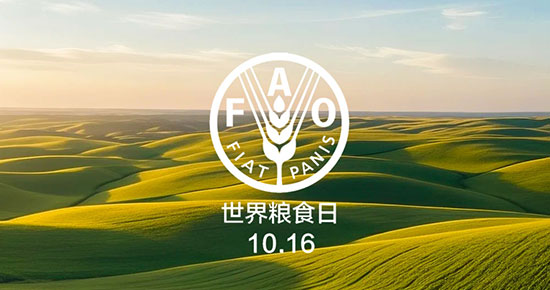 世界粮食日｜净松粮仓空调全场景方案筑牢仓储防线